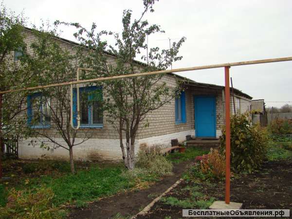 Дом в деревне Воронежск.обл. 500 км до Москвы
