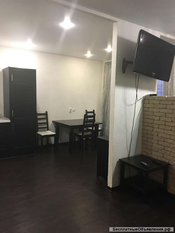 Однокомнатная квартира на 5 спальных мест