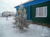 Дом с участком 50 сот. в деревне Воронежск.обл. 500 км до Москвы