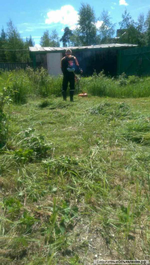 Покос, уборка. Омск и область