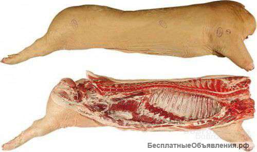Свинина в полутушах от производителя