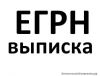 Выписка ЕГРН / ЕГРП из Росреестра за 1час