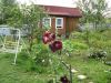 Дача