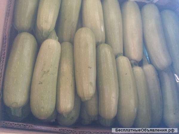 Кабачок урожай 2017