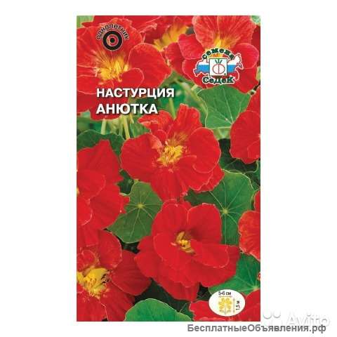 Настурция Анютка вьющаяся махровая рассада