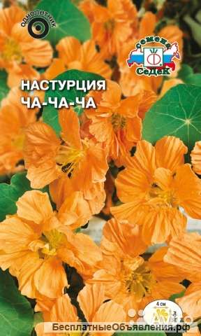 Настурция Чачача оранжевая рассада