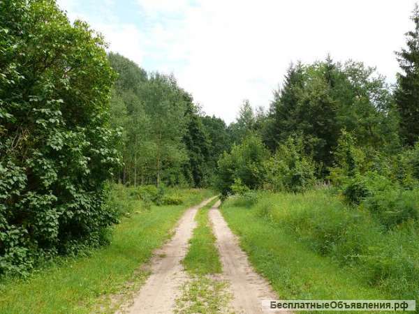 23 га сельхозземли