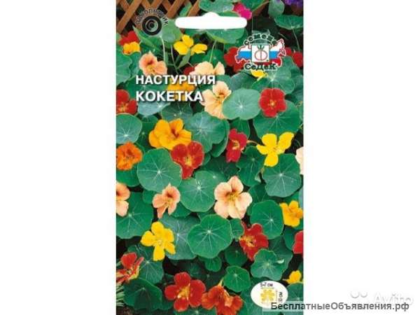Настурция Кокетка рассада