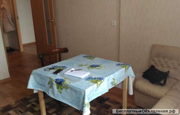 Сдам 1-к. кв. у метро Парнас