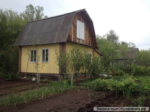 Дача в СНО Светофор