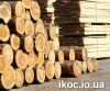 Маляр, столяр, пилорамщик