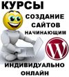 Курсы по созданию и продвижению сайтов с нуля начинающими