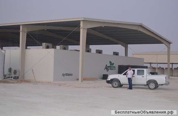 Гидропонная установка - гидропонный корм