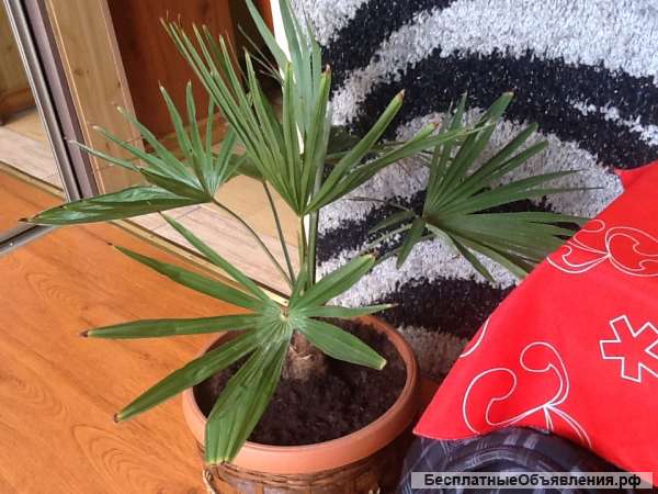 Уберу вашу квартиру или дом в любой части города Ставрополя