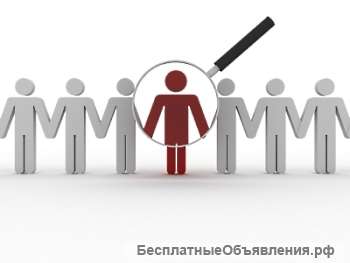 Региональный представитель