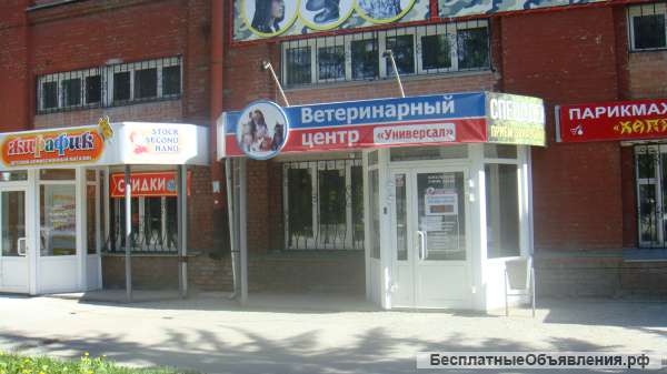 Требуется ветеринарный врач терапевт-хирург