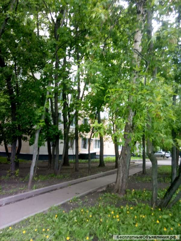 Сдам 1 к. кв.