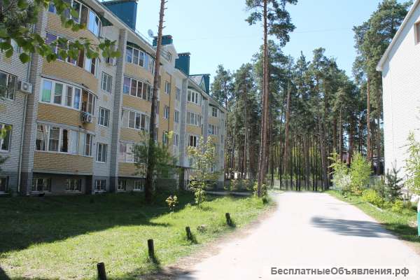 Однокомнатной квартиры в Солотче