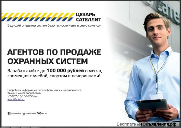 Агент по продаже охранных систем