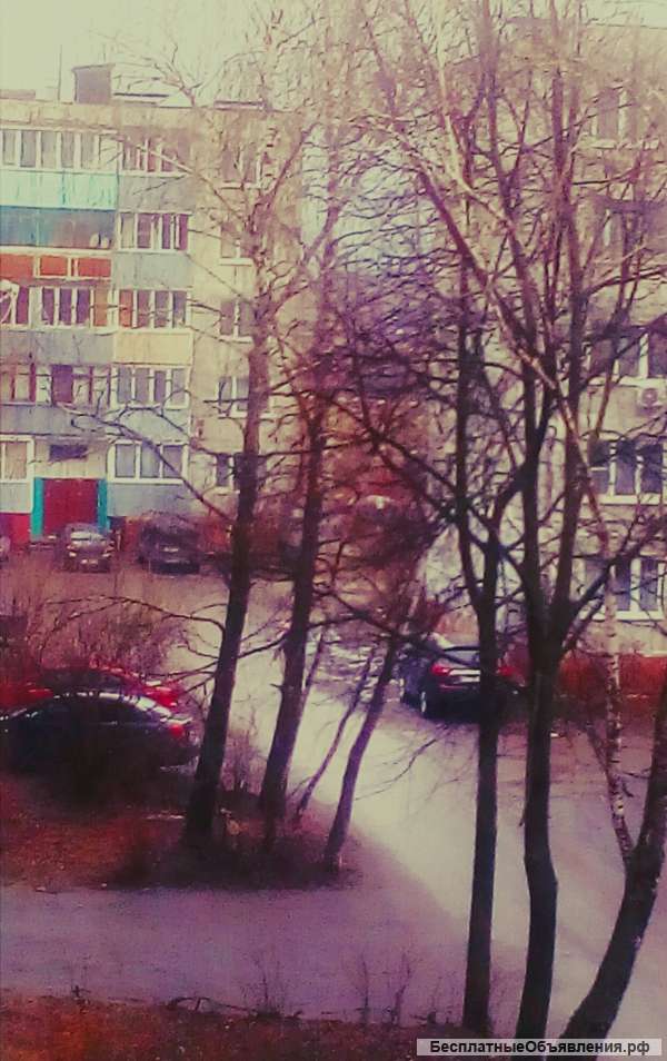 Квартиры