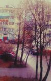 Квартиры