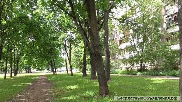 3-х комн кв в ВАО - Гольяново