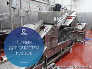 Автоматическая линия для обработки кишок КРС Feleti от производителя