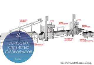 Автоматическая линия обработки слизистых субпродуктов КРС Feleti от производителя