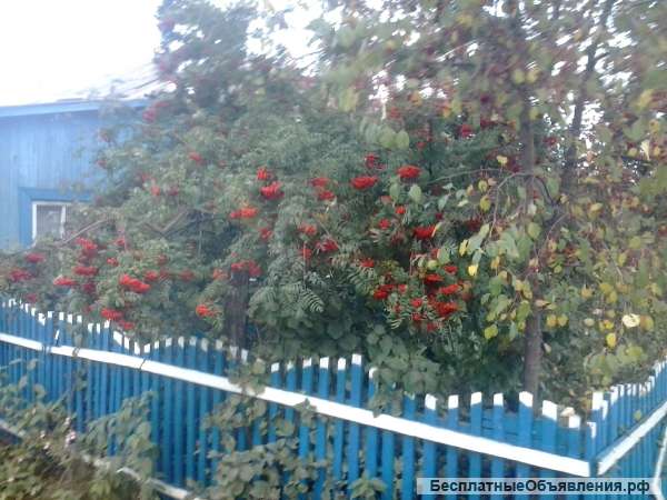 Брусовой дом