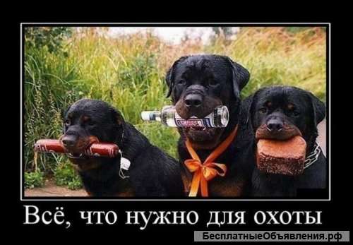 Работай на себя