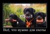 Работай на себя