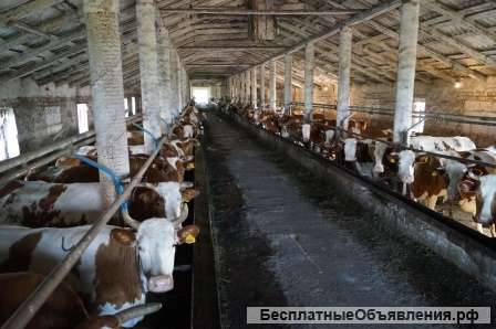 Инвестици, кредит