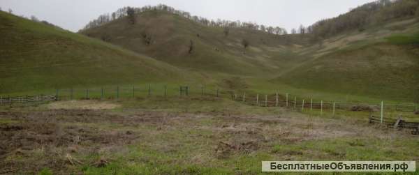 Участок в д. Тереклы Архангельского района