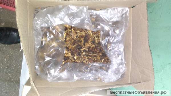 Сушеный гриб «Лисичка»