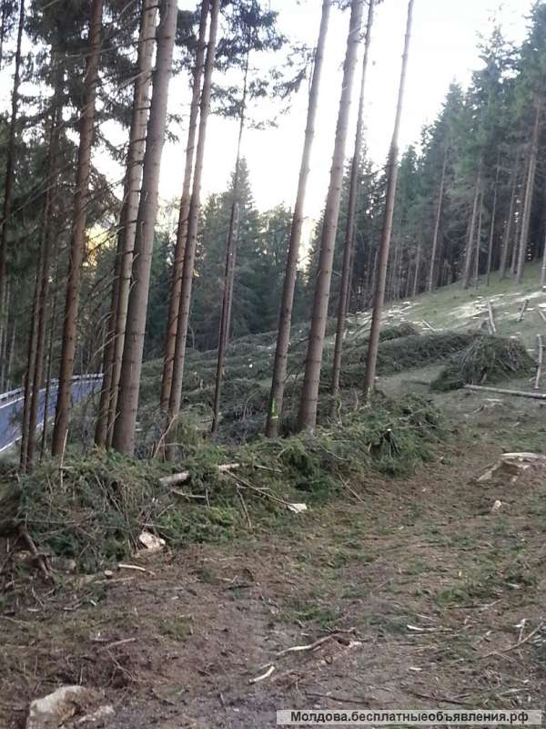 Работа в Чехии c биометрическим паспортом