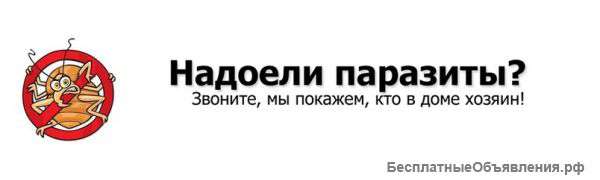 Услуги по борьбе с вредителями