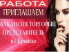 Торговый представитель в Брянске