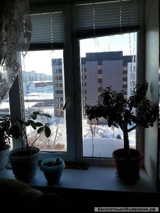 1 комната, 17,3