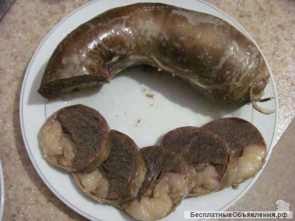 Казы мясо конины