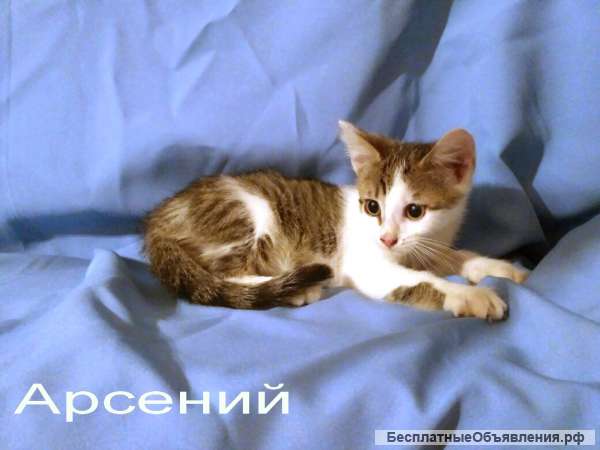 Маленький Арсений очень хочет домой