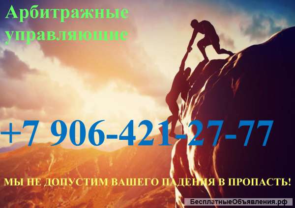 Арбитражные управляющие