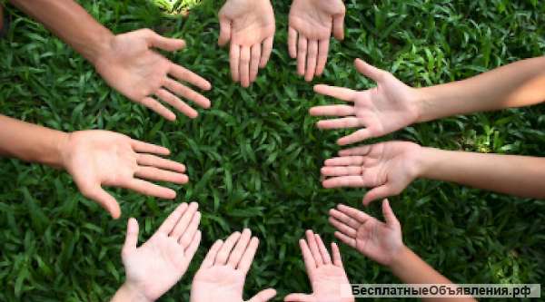 Ищу партнера психолога для открытия психологического центра