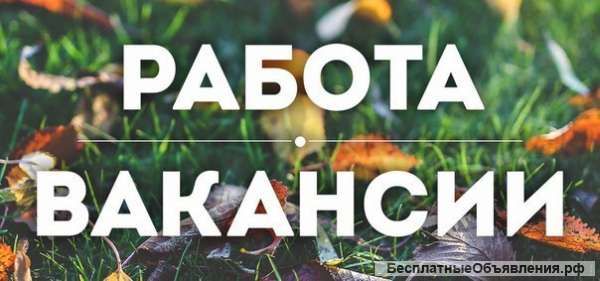 Приглашаем к сотрудничеству