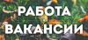 Приглашаем к сотрудничеству