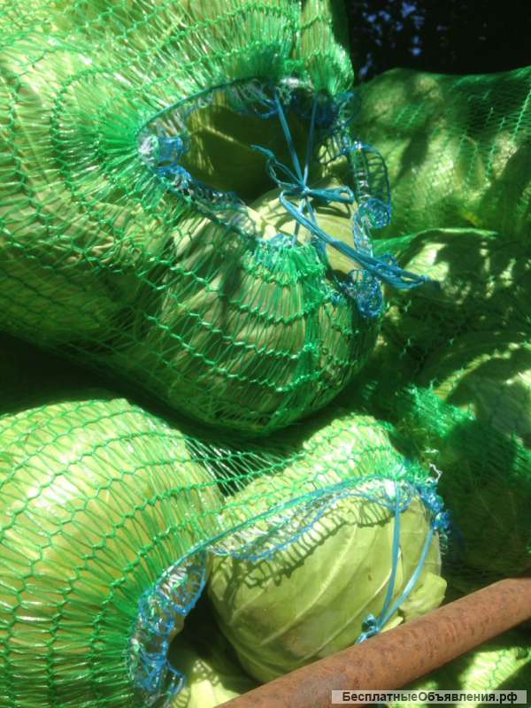 Капусту белокочанную оптом от КФХ