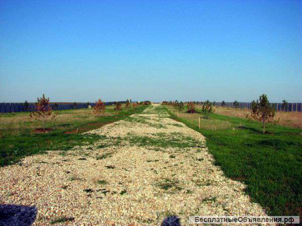 Участок у моря в Крыму