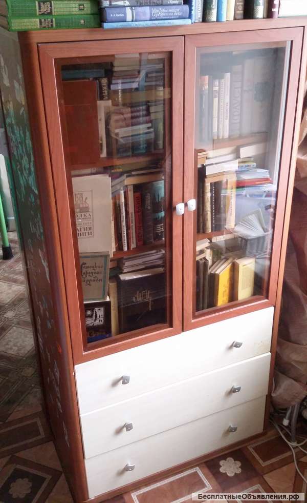 Стильный шкаф для домашнего архива, ценных книг и альбомов