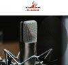 Радио в любое время суток Shark Radio