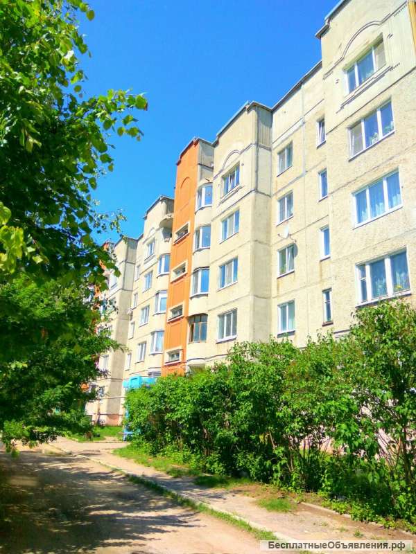 Квартиру не дорого