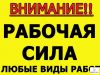 Персонал для Вашей организации